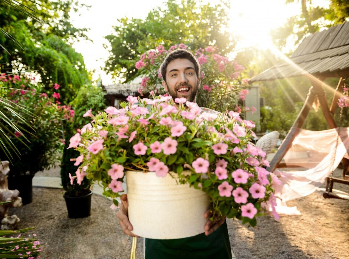 Cómo Transformar tu Jardín en un Paraíso